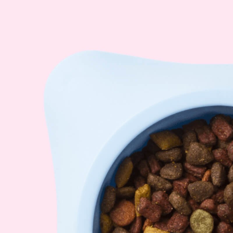 Small dog dish - Image 2
