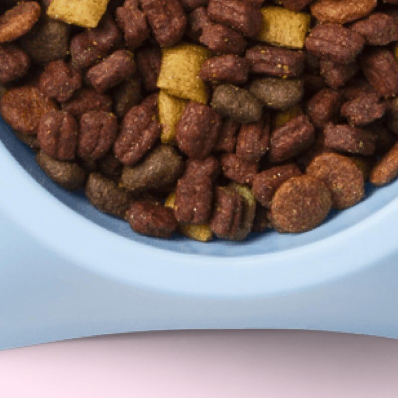 Small dog dish - Image 4