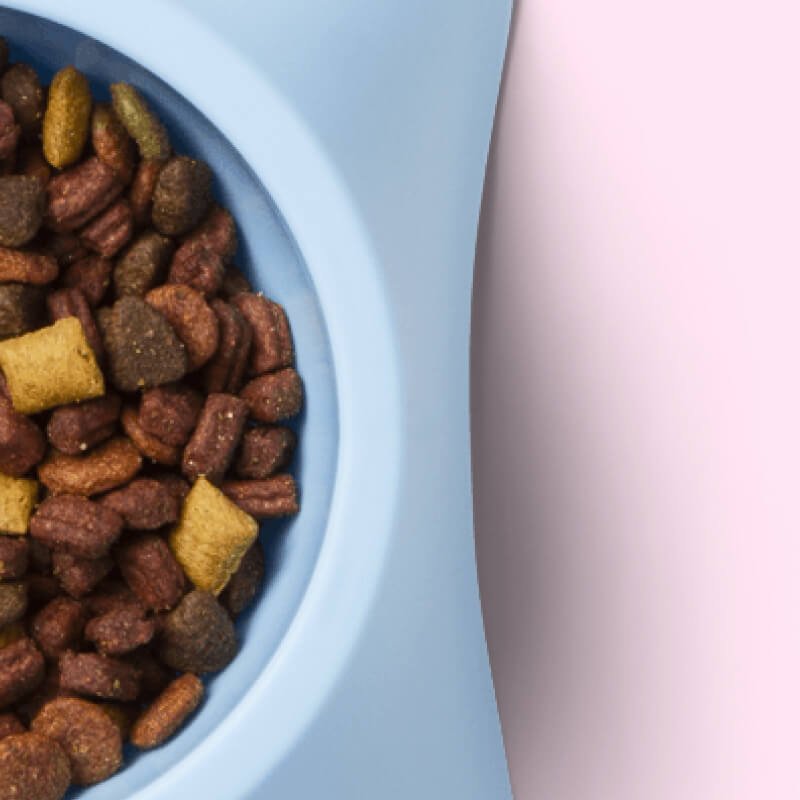 Small dog dish - Image 3
